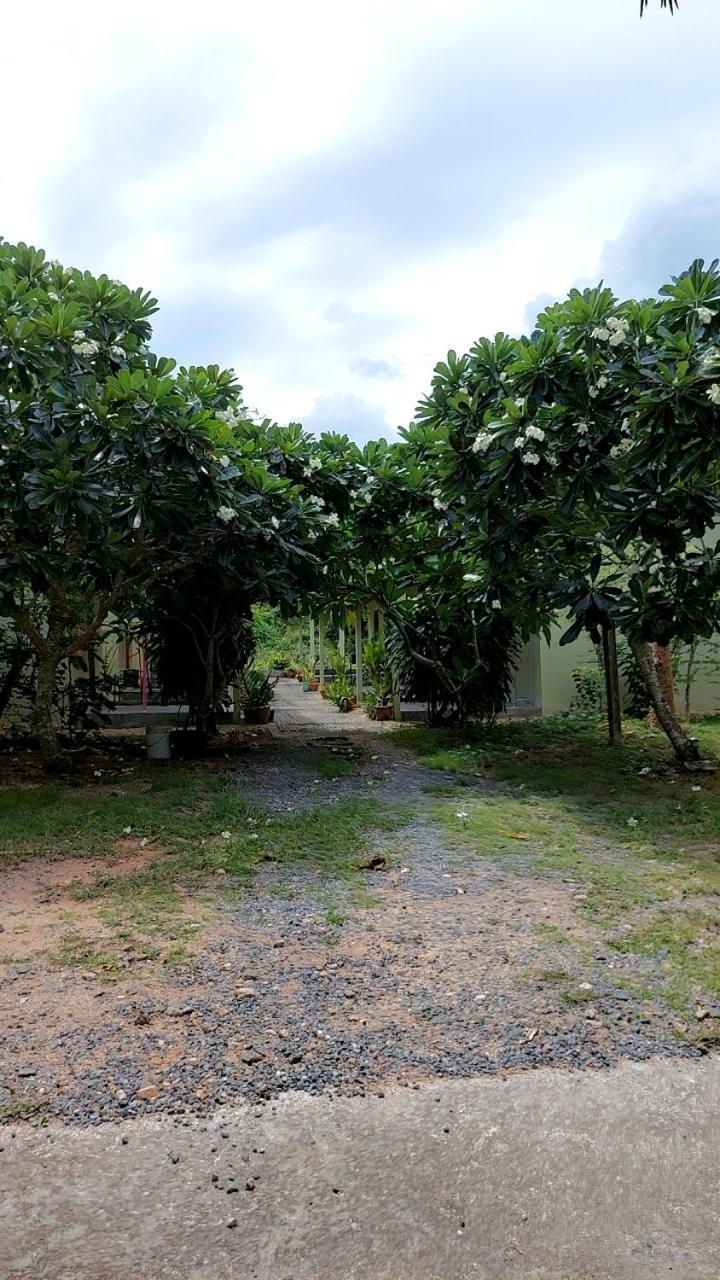 U53/37 * Koh Samui